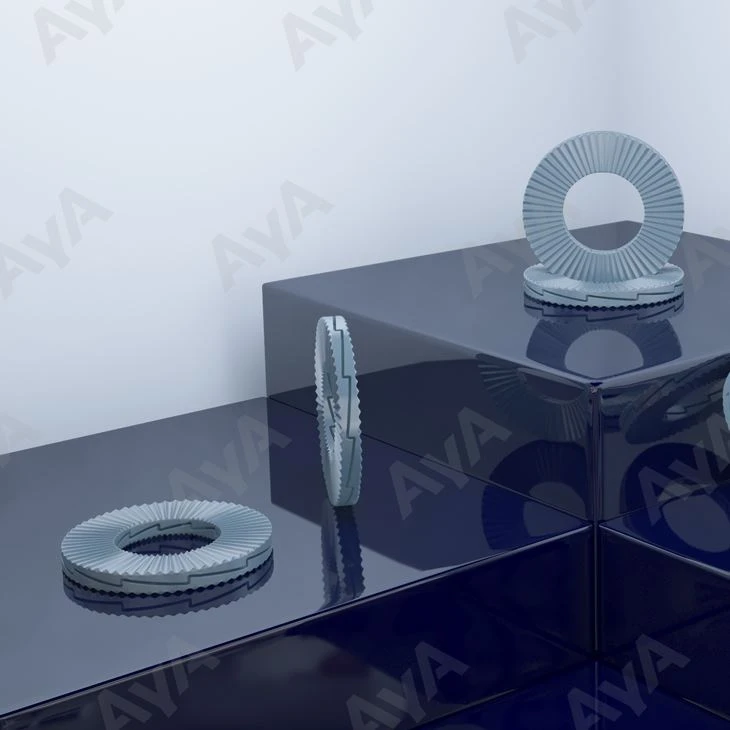 Double Lock Washer